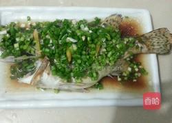 清蒸贵鱼的做法图解8