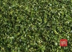 苜蓿菜卷的做法图解4