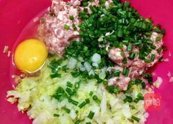 白菜猪肉饺子（麦穗饺子包法）的做法图解1