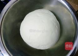 咸菜春笋包子的做法图解3