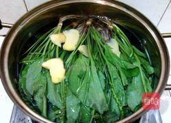 枸杞红枣车前草汤的做法图解4