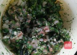 荠菜虾肉大馄饨的做法图解1