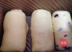 蔓越莓吐司的做法图解7