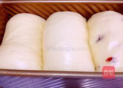 蔓越莓吐司的做法图解8