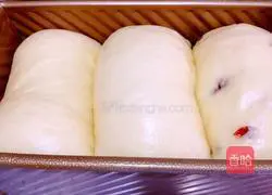 Cranberry Toast Recipe Illustration 8