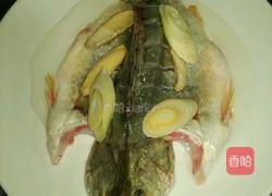 清蒸桂鱼的做法图解4