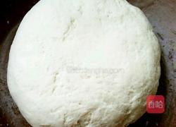 西葫芦鸡蛋水饺的做法图解2