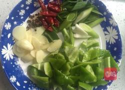 秘制红烧茄子的做法图解9