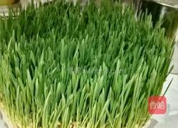 麦芽糖的做法图解2