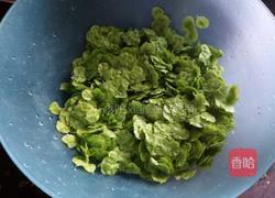 榆钱儿饼的做法图解1