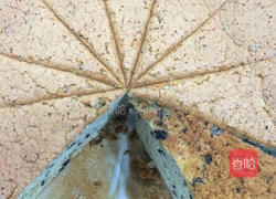 奥利奥戚风蛋糕（戚风蛋糕&奥利奥完美结合）的做法图解11