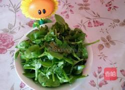 凉拌穿心莲的做法图解5