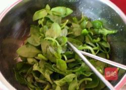 凉拌穿心莲的做法图解3