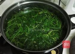 凉拌蒲公英菜的做法图解4