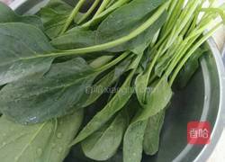 老醋菠菜的做法图解1