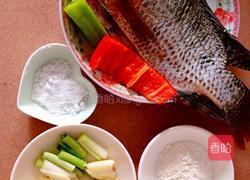 红烧罗非鱼的做法图解1