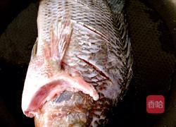 红烧罗非鱼的做法图解3