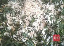 Illustration of making dumplings with three fresh fillings 6