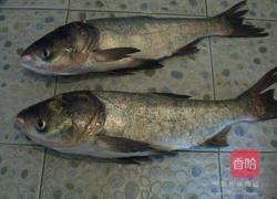 鱼头火锅的做法图解2