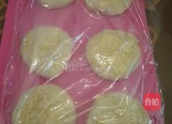 (中种)低糖低脂全麦土司的做法图解10