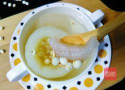 川贝炖雪梨的做法图解14