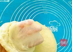 乳酪牛角面包的做法图解4