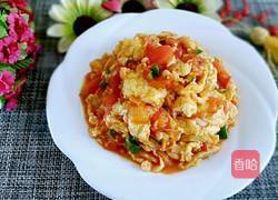 西红柿炒鸡蛋的做法图解10