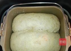 (冷藏汤种)奶香全麦土司的做法图解9