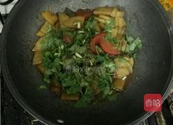 番茄土豆家常菜的做法图解5