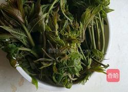 香椿芽炒鸡蛋的做法图解2