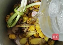 板粟炖猪脚的做法图解3