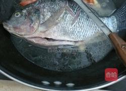 西红柿煮福寿鱼的做法图解3