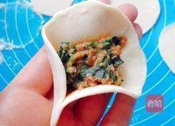 韭菜猪肉水饺的做法图解10