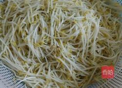 香辣豆芽的做法图解2