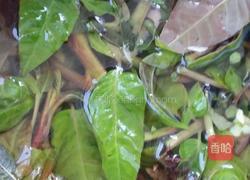 香椿芽猪肉水饺的做法图解1