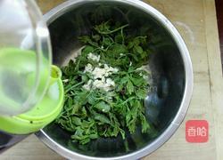凉拌花椒芽的做法图解4