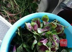 清炒苋菜的做法图解1