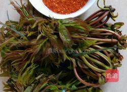 凉拌香椿的做法图解1