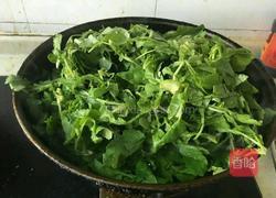 蒜蓉炒萝卜苗的做法图解3