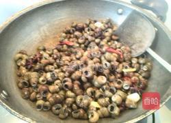 红烧螺蛳的做法图解5