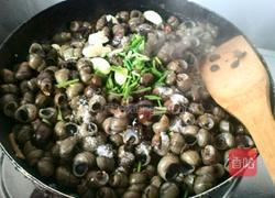 红烧螺蛳的做法图解8