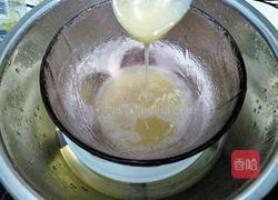 木瓜奶冻的做法图解8