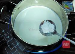 木瓜奶冻的做法图解11