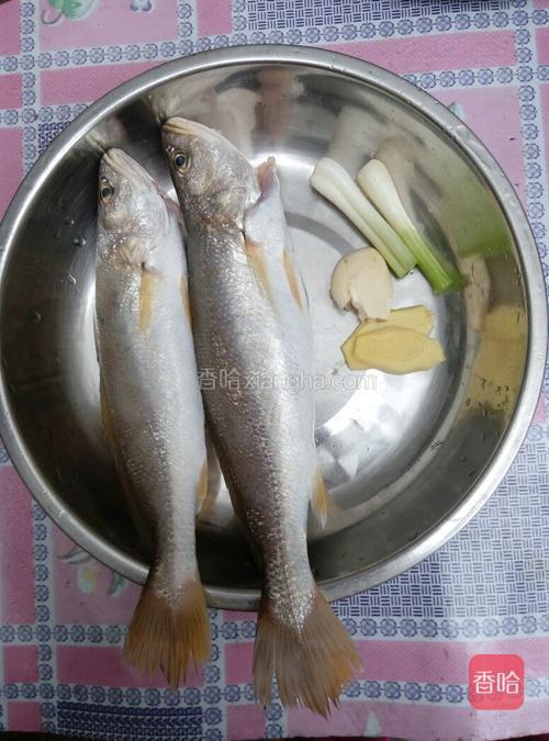 三牙魚湯