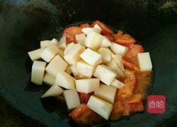 西红柿土豆炖牛腩的做法图解13