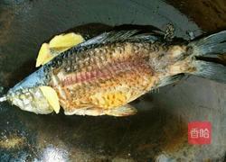 鲫鱼豆腐汤的做法图解5