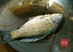 鲫鱼豆腐汤的做法图解4