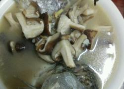 香菇炖鲫鱼汤