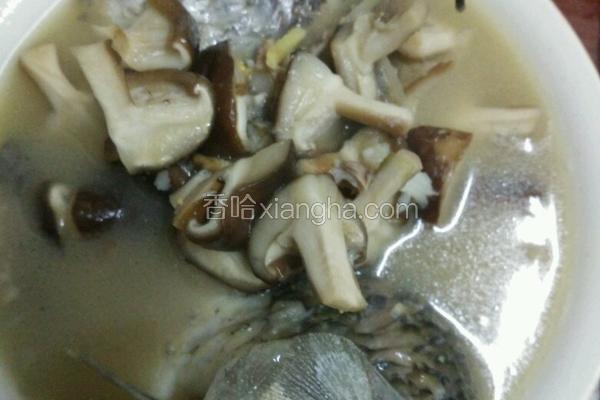 香菇炖鲫鱼汤