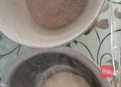 猫耳朵的做法图解5